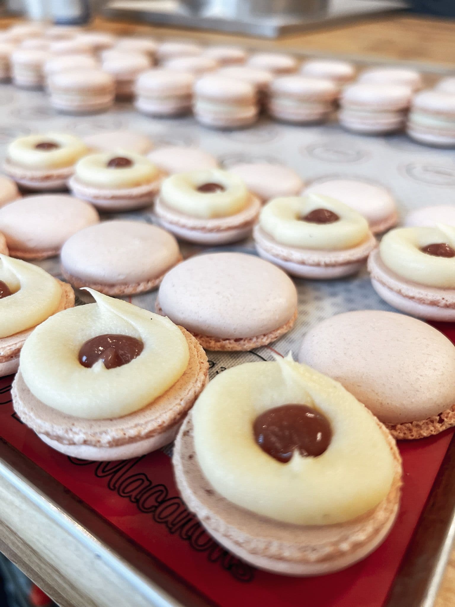 Macaron-Backbox